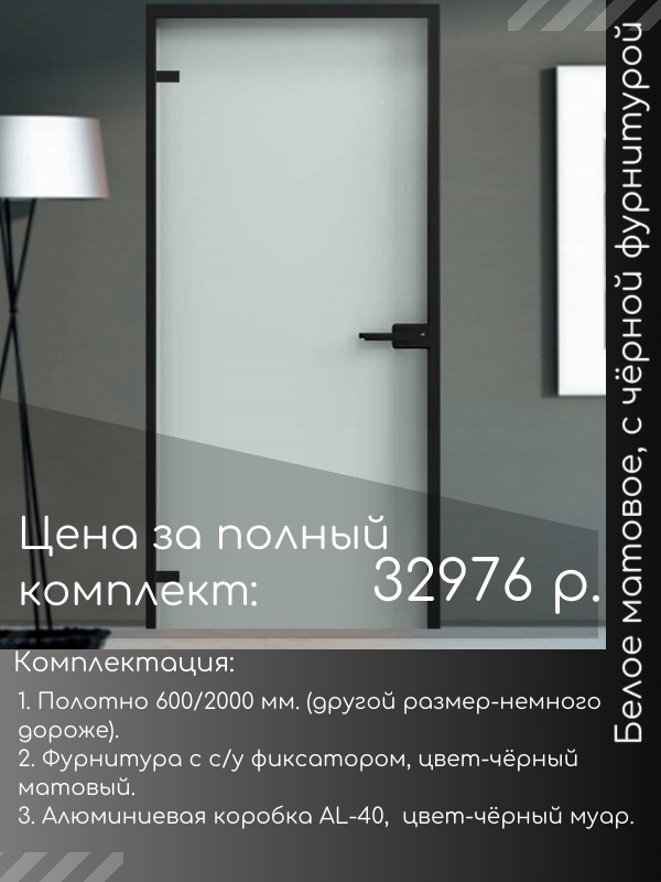 Стеклянная дверь с чёрной фурнитуро